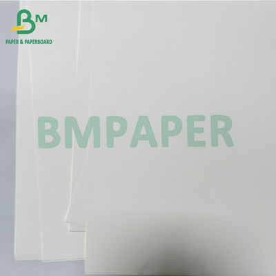 Glanzige anti-bacteriële thermische medische synthetische papierrol