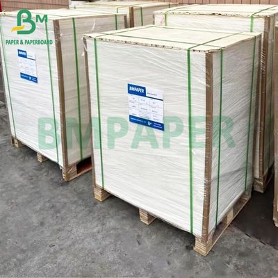 Glanzige anti-bacteriële thermische medische synthetische papierrol