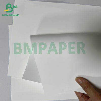 Glanzige 180 Micr Anti-allergische medische thermische synthetische papierplaat