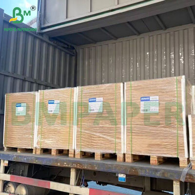 Natuurlijk composteerbaar, ongecoat wit papier voor bekers