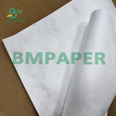 1056D 1070D Lichte witte Tyvek papierstof voor kunstprojecten