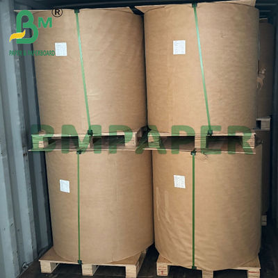 56 gram waterdicht bruin mango zak papier voor de bescherming van vruchten UV groei