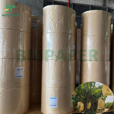 Mango Growing Protection Bag Glanzend 30gm Innerlijk Zwart Papier Rollen Zonnebestendige