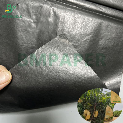 Mango Growing Protection Bag Glanzend 30gm Innerlijk Zwart Papier Rollen Zonnebestendige