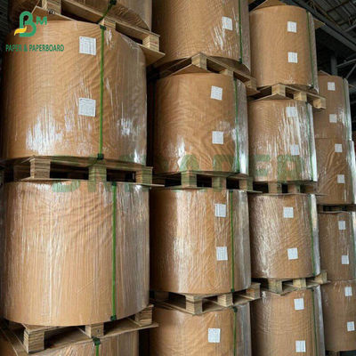 130 g 300 g Natuurlijk suikerriet Bagasse Pulppapier voor voedsel Platen Rollen biologisch afbreekbaar karton