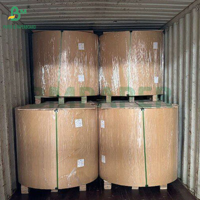 300 gm natuurlijk suikerriet bagasse pulppapier voor hang-tags biologisch afbreekbaar 700 mm