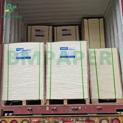 Graad 3 papier voor voedingsbakken 35 gm 40 gm vetbestendig papier