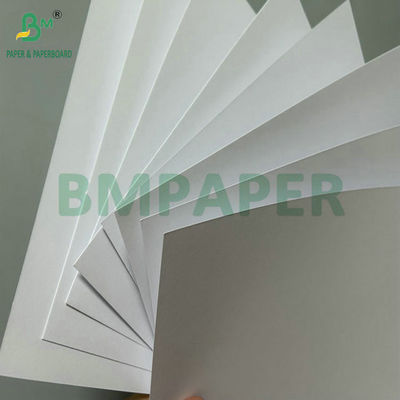 Uitstekende gladheid 100 gram 120 gram ongecoat houtvrij papier voor offsetprinting 71 cm rol