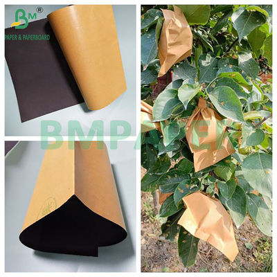 56 gm Bruine en zwarte mango beschermende zak papier rollen