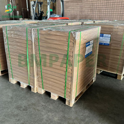 Non Stick 40GSM Pergament bakpapier voor barbecuebakkers 470 x 740 mm