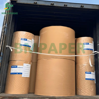 50 gram wit gebleekt koffiefilterpapierrol voor het scheiden van vaste en vloeibare stoffen