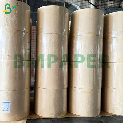 135-350gm Dubbelzijdig glad PE-gecoat bekertje