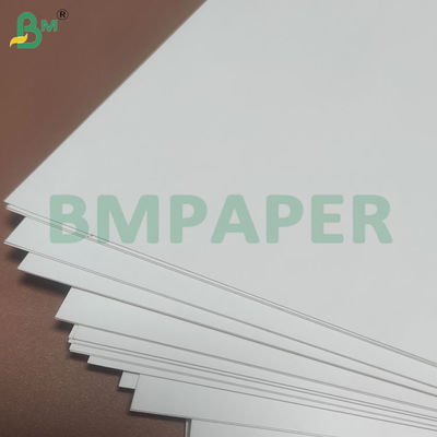 135-350 GSM High Stiffness Food Container Papierrol voor papieren schaal