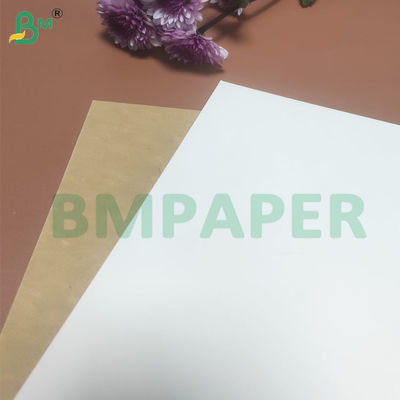 135-350 GSM High Stiffness Food Container Papierrol voor papieren schaal