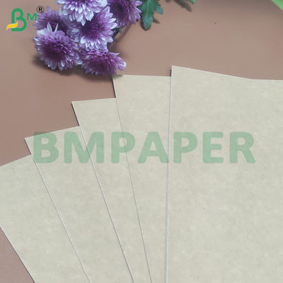 135-350 GSM High Stiffness Food Container Papierrol voor papieren schaal