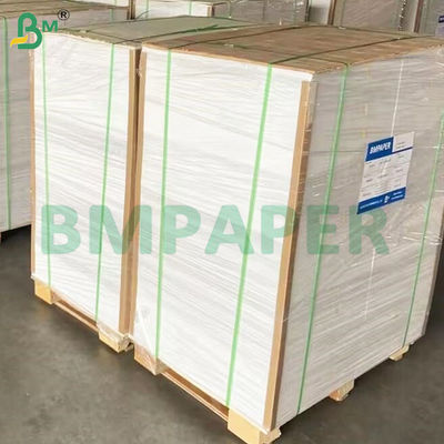 135-350 GSM High Stiffness Food Container Papierrol voor papieren schaal