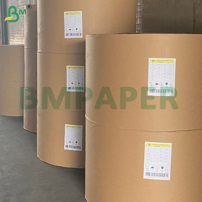 210 g + 15 g Bowl Paper Food Grade PE Coated Virgin Wood Pulp Rolls