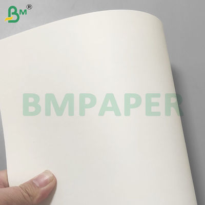 PE-gecoate lekvrije koppen voor papierrolletjes voor het drinken 190 gsm+10 gsm