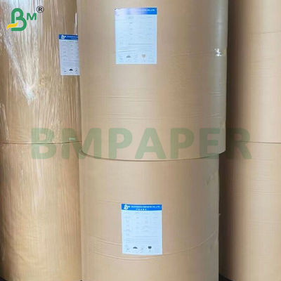 PE-gecoate lekvrije koppen voor papierrolletjes voor het drinken 190 gsm+10 gsm