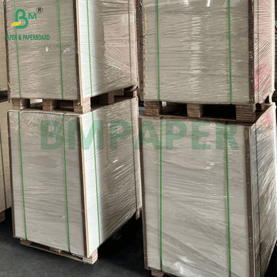 250 gm 275 gm + 15 g PE-gecoat karton voor voedselverpakkingen 740x1060 mm