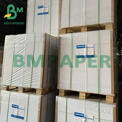 280 g Cup Stock Paper Board Eenzijdig PE-gecoate voedselgraadkaart