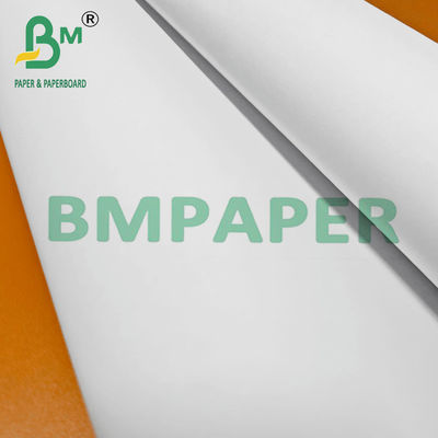 80 gram 24 inch / 36 inch breed Woodfree CAD Inkjet Plotter Paper Roll