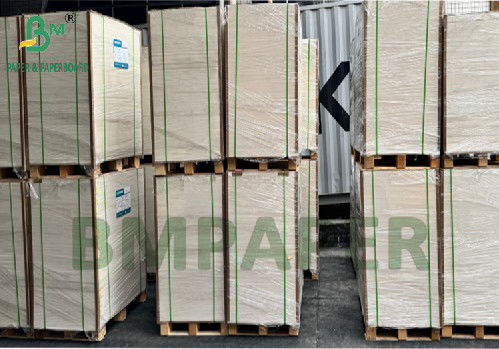 300 g 350 g 900 mm 1000 mm bekleed SBS-papier voor voedselverpakkingen