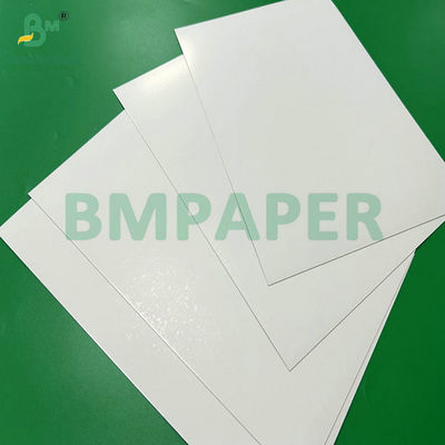 300 g 350 g 900 mm 1000 mm bekleed SBS-papier voor voedselverpakkingen