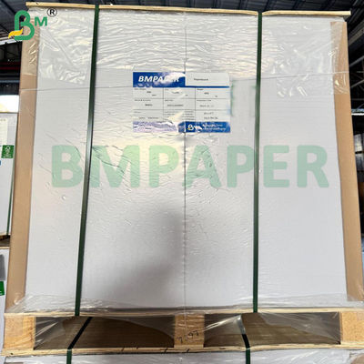 BMPAPER Cupstock papier voor ijsbekers Schalen met PE-coating 1 zijde