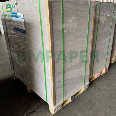 450 gm 400 gm C1S klei-gecoat papier met grijze achterzijde 22" x 24" vellen