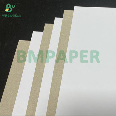 450 gm 400 gm C1S klei-gecoat papier met grijze achterzijde 22" x 24" vellen