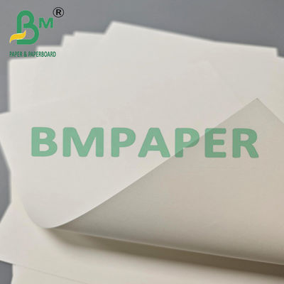 230 g + 15 gPE Waterbestendige Barrier Coffee Hot Cupstock Paper Board