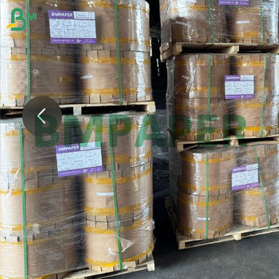 30 gm enkelzijdig glanzend zwart papier voor fruitbeschermingszak