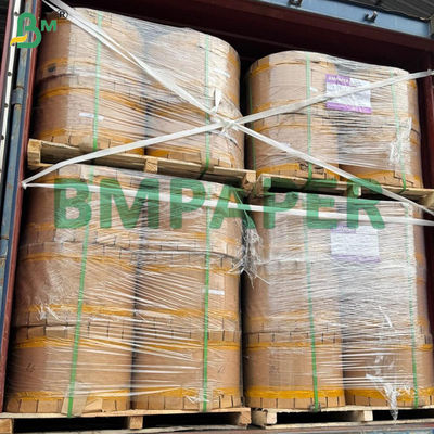 30 gm enkelzijdig glanzend zwart papier voor fruitbeschermingszak