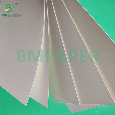 210 gm 230 gm 15 g PE Matte Coating White Cup Paper Voor het maken van koffiebekers