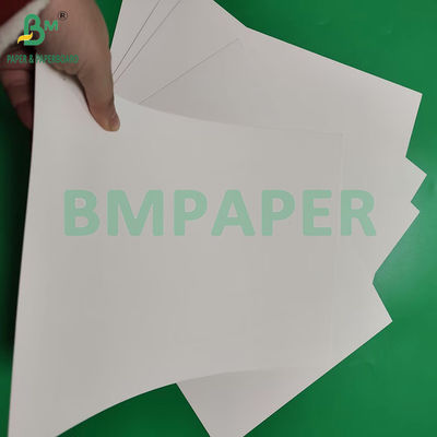 210 gm 230 gm 15 g PE Matte Coating White Cup Paper Voor het maken van koffiebekers