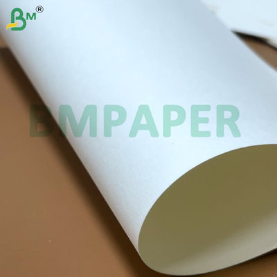 Voedingsmiddel Noodle Bowl Paper Board 700 mm x 1000 mm 200 g + 20 g PE-gecoat