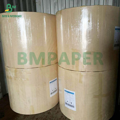 250 g 300 g waterig plastic vrij papier bekers kompen papier gemaakt van 100% bamboevezels