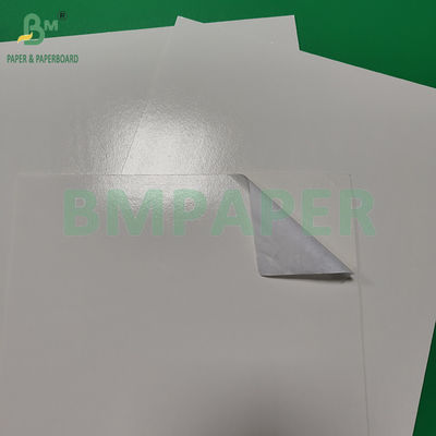 300+15 gsm Glanzend PE-gecoat wit karton van levensmiddelenkwaliteit Verpakking Bevroren producten