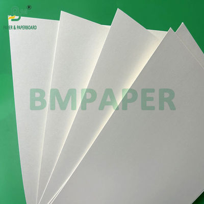 240g +15PE Gecoat 1 zijde Cupstock Papier Voor Drinkbekers 31 x 43 inch Waterdicht 100%