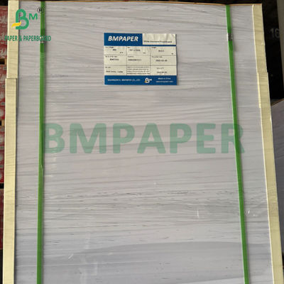 240g +15PE Gecoat 1 zijde Cupstock Papier Voor Drinkbekers 31 x 43 inch Waterdicht 100%