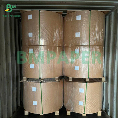 35 g/m² 50 g/m² Wit en Bruin Bamboe Pulp Koffiefilterpapier Voor Filterkoffie