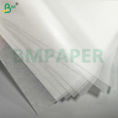 Fruit and Vegetable Protective Bag Paper Waterdicht Ver weg van plagen en vogels