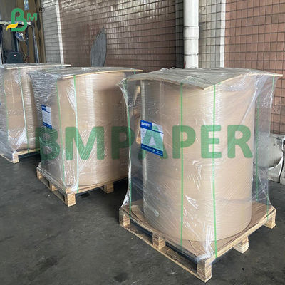 Fruit and Vegetable Protective Bag Paper Waterdicht Ver weg van plagen en vogels