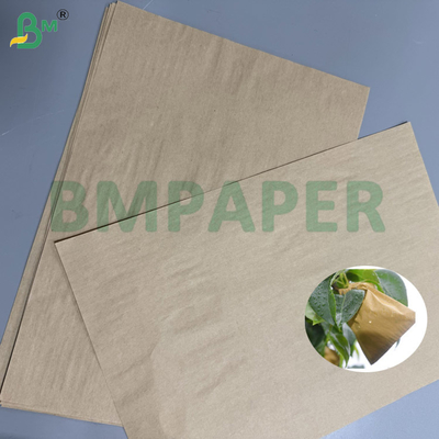 55g 80g Bruin Kraft Fruit Zakpapier UV & Ongediertebescherming Voor Perziken/Peren