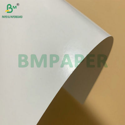 SBS Diepvrieskarton PE Gecoat 325gsm Voor het Maken van Diepvries Garnalen Verpakking