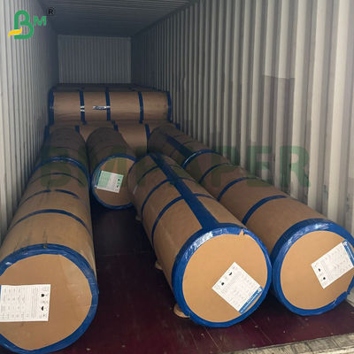 275g + 15g PE Coated Paper For Plate Tray Biodegradable 1000mm Food Safe