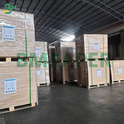 Premium Surface Thermal Coating Paper Material With Excellent Readability