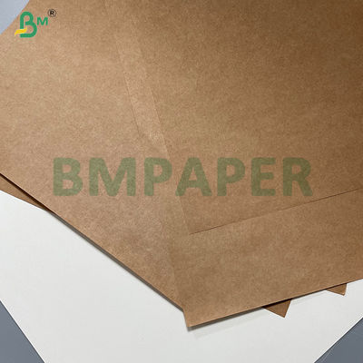 95/105 gsm Hoge Sterkte Absorptie Koelpad Basis Papier Kraft Rol