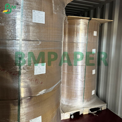 Speciaal voor voedsel en gerechten bestemd papier/plaatpapier, met PET-coating